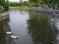 -莲花池公园