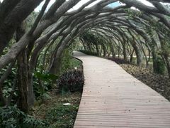 -广西壮族自治区药用植物园
