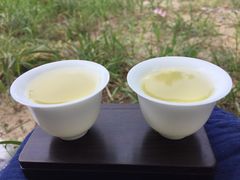 -东郊湿地公园