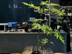 -咖法森林·咖啡  酒吧(天河店)