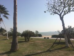 -厦门五通客运码头