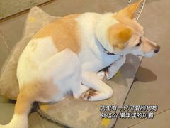 -慢象咖啡(台江店)