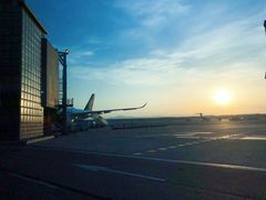 -米兰马尔彭萨国际机场