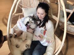 -Husky Go! 哈士奇体验馆·宠物咖啡厅狗咖