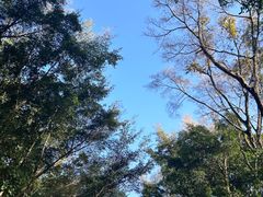 -梧桐山风景名胜区