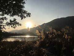-齐岳山