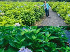 -昆嵛山石门里景区