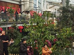 -沈阳植物园
