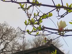 -青岩古镇