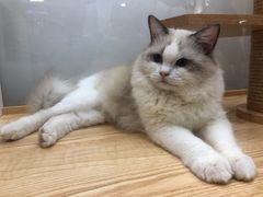 -卡朋西餐(悦汇城店)