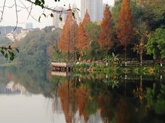 -重庆彩云湖湿地公园