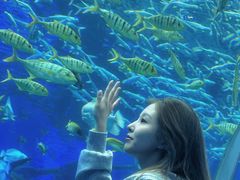 -波塞冬旅游度假区