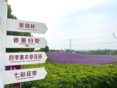 -紫颐香薰山谷景区