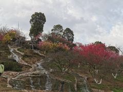 -秀丽东方