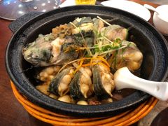 旱蒸剑齿鱼-桂客膳房·珍品堂