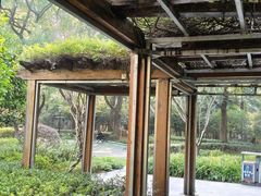 -徐家汇源景区-衡山公园