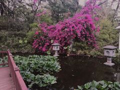 -深圳国际园林花卉博览园