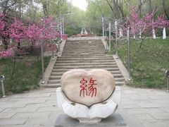 -水磨沟公园