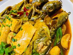 昂刺鱼烧豆腐-陈家味(古柏店)