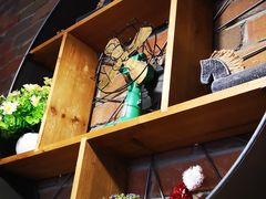 -DM CHICKEN 分米鸡