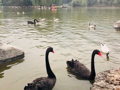 -西安秦岭野生动物园