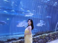 -华夏文旅西安度假区