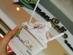 榴莲-柠檬车露(卖草地店)