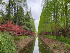 -东平国家森林公园