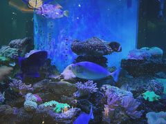 -碧中海汤泉汗蒸酒店