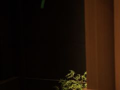 竹-七福日本料理