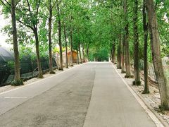 -三圣花乡旅游区