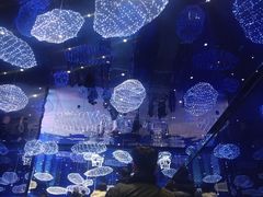 -盒马X会员店(上海森兰商都店)
