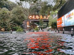-天怡·鱼工厂(梅溪湖店)
