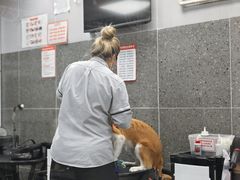 -宠物家(大兴旧宫店)