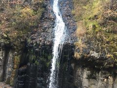 -望天鹅景区