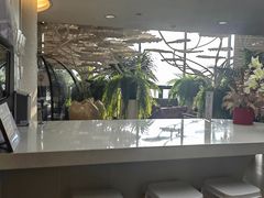 -哈尔滨圣安口腔专科医院