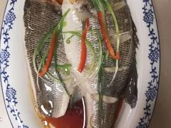 -爱的果实月嫂育婴师(世纪东方店)