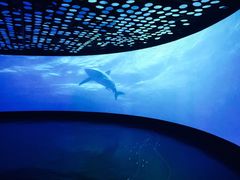 深海探索馆-同济大学四平路校区深海探索馆