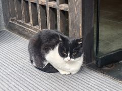 -法云安缦酒店