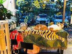 -平行世界·猫咖(首经贸店)