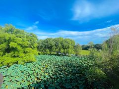 -北京麋鹿生态实验中心