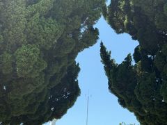 -小麦岛公园