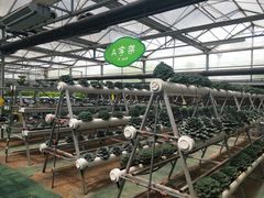 -兰陵国家农业公园