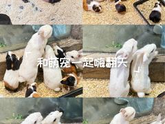 -姑苏二十四集(iD PARK 歌林公园店)