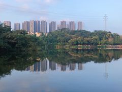 -重庆彩云湖湿地公园