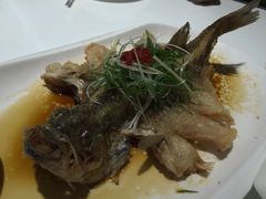 至潮飞鲈-至潮餐厅精致粤菜·活鲈鱼·走地鸡(珠江新城店)