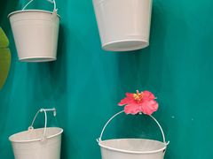 -春莱·泰式奶茶·老挝冰咖啡(和平路店)