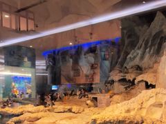 -帝企鹅自助餐厅•儿童岛•真企鹅(长隆企鹅酒店)