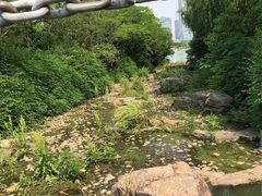-天鹅湖体育公园