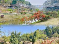 -东莞植物园